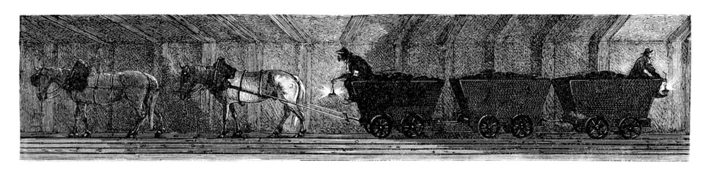 Horses in a Coal Mine - 19th century