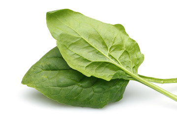 Fresh spinach