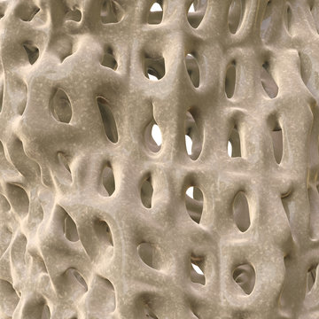 Osteoporose - Macro - 3D render
