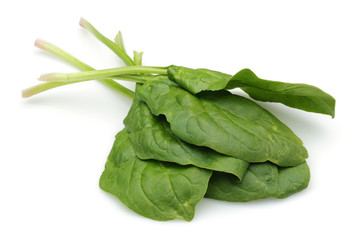 Fresh spinach