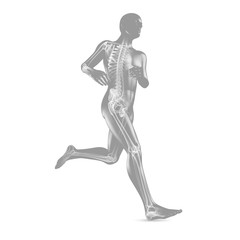 Fototapeta na wymiar Ilustracja 3D: Jogging / Skeleton RTG
