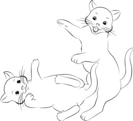 spielende Katzenkinder