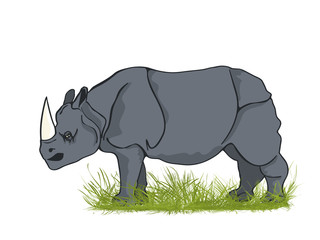 Large rhino