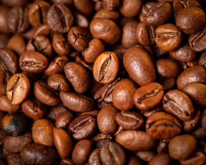 Macro photo of coffee beans, low depth of focus