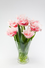 bouquet of tulips in a glass vase on a white background