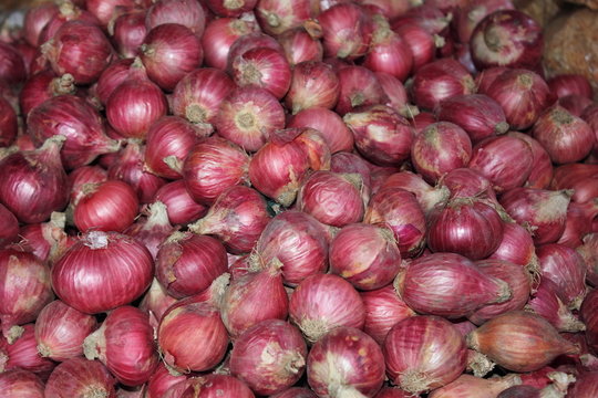 Zwiebel - Gem&uuml;se