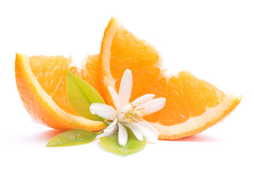 Fresh oranges with orange blossom - 49653776
