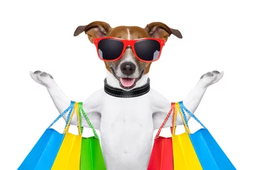 Abwaschbare Fototapete Lustiger Hund Hund einkaufen
