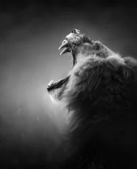 Papier Peint photo Lavable Noir et blanc Lion affichant des dents dangereuses