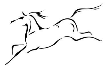Fototapeta na wymiar białe i czarne kontury wektorowych konia