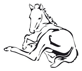 black and white vector outlines of a foal