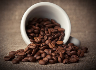 coffee roasted beans