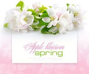 Apple blossom on a festive background with space for text