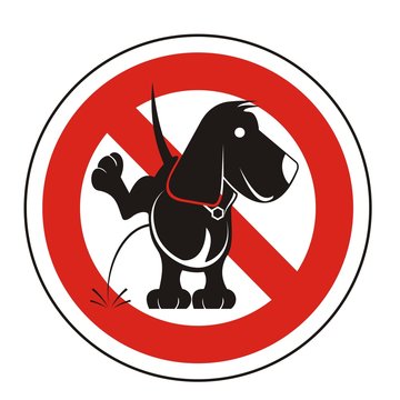 Perro