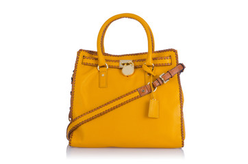 Nice elegant woman bag isolated on the white