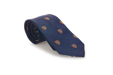 Elegant silk male tie ( necktie ) on white