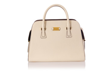 Nice elegant woman bag isolated on the white
