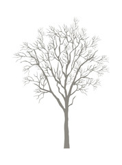 icon_Tree