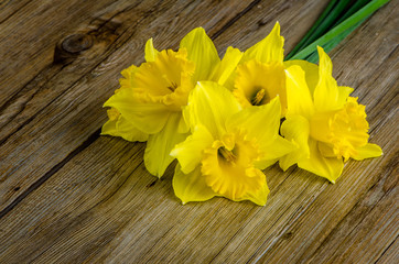 Jonquil flowers