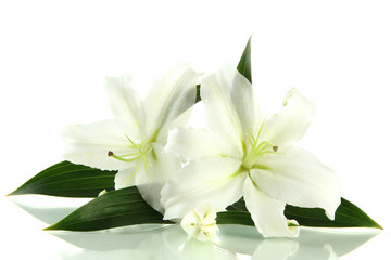 Naklejka na ściany i meble Beautiful lily, isolated on white