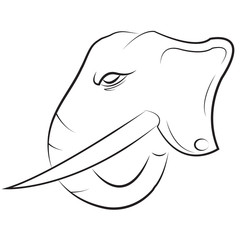 Elephant Head