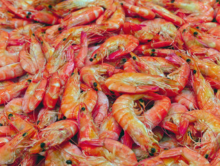 Prawn background