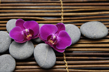 Fototapeta na wymiar Czerwony dwa orchidea z kamieni na kij słomy mata bambusowa