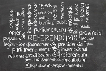 Word cloud for Referendum