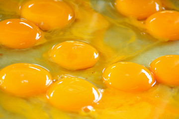 Eggs Close up