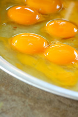 Eggs Close up