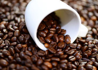 Kaffeebohnen