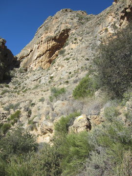caliza dolom&iacute;tica en geolog&iacute;a
