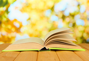 Opened book on bright background