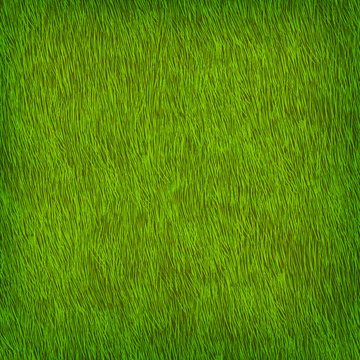Green grass texture