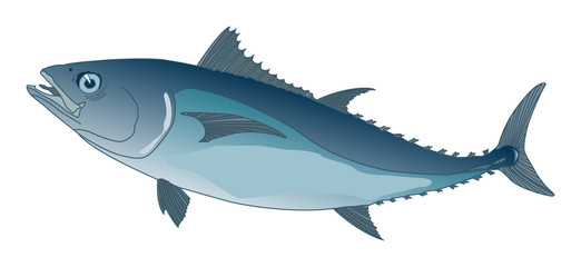 blue tuna