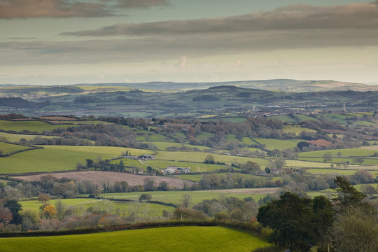 The Rolling Hills Of West Dorset.