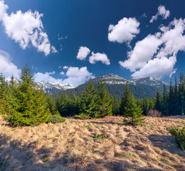 Beautiful spring landscape in the mountains