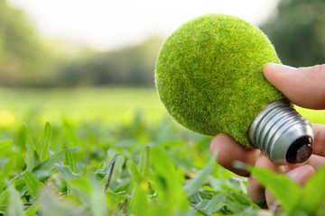 eco light bulb concept