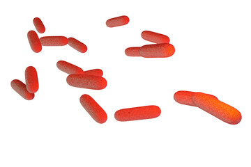 Bacteria - isoliert - 3D Render