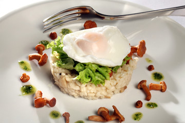 Pfifferlingsrisotto mit Kopfsalat und pochiertem Hühnerei