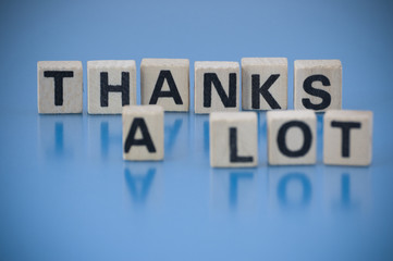 Obraz premium Text THANKS A LOT