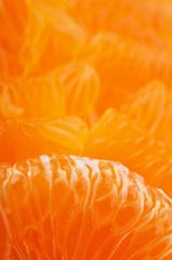orange mandarins background
