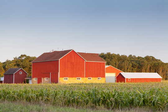 Traditional American Red Barn With Blue Sky