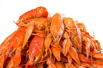 Red boiled crayfish on white large dish on white background