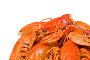 Red boiled crayfish on white large dish on white background
