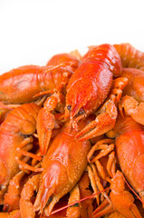 Red boiled crayfish on white large dish on white background