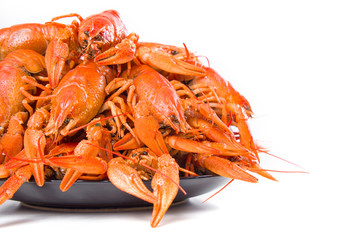 Red boiled crayfish on white large dish on white background