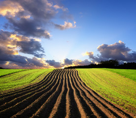 Landscape at sunset