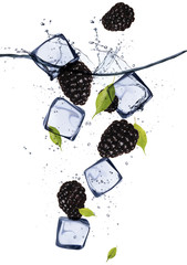 Blackberries with ice cubes, isolated on white background