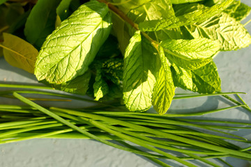 Mentha and Chives